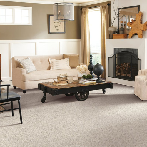 Abba Floorcoverings provides easy stain-resistant pet proof carpet in Nanaimo, BC. - Restful Style-Catalina